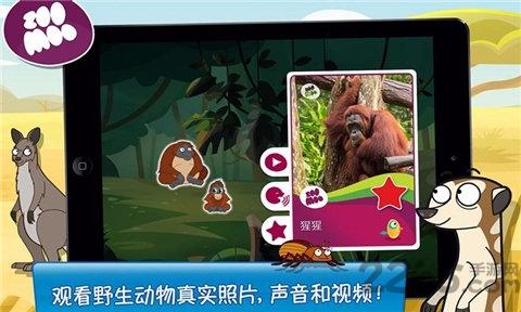 动物好伙伴游戏下载,动物好伙伴,动物游戏,儿童游戏